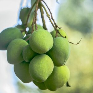 10 Best Easy Breezy Fresh Drinks for Summer Easy Breezy Aam Panna