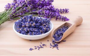 10 Amazing Plants That Repel and Kick Out Mosquitoes Plants