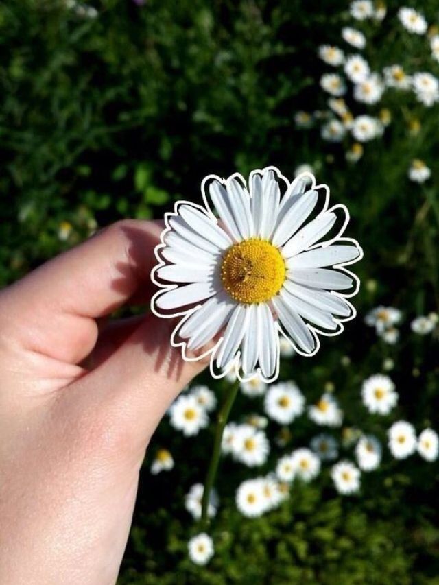 5 Tips for You to be Happy