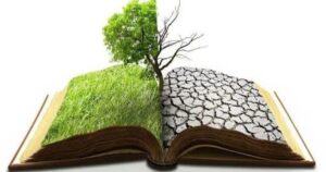 Eco-Criticism: 20 Notable Works Eco-Criticism