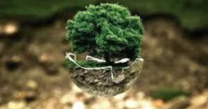 Eco-Criticism: 20 Notable Works Eco-Criticism
