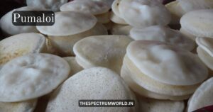 10 Famous Delicacies of Meghalaya Meghalaya