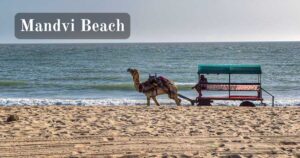 Exploring Jamnagar: 15 Best Places to Visit Jamnagar