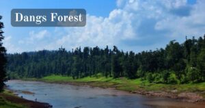 Exploring Surat: 15 Best Places to Visit Surat